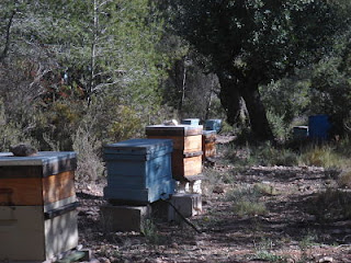 abejas con cera ecológica de naturalis muebles
