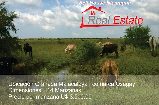 terrenos en venta nicaragua,Terrenos en Granada Nicaragua, ventas de casas en granada nicaragua,lotinica Nicaragua,venta   de terrenos en granada,proyectos de vivienda en granada nicaragua,terrenos en venta granada nicaragua,venta de terreno   granada, bienes raices en granada nicaragua,venta de lotes en granada nicaragua casa granada nicaragua,propiedades baratas   en nicaragua,encuentra 24 nicaragua,ventas de casas en nicaragua  terrenos en venta en granada nicaragua venta de casas en granada nicaragua lotinica granada proyectos de viviendas en granada nicaragua propiedades baratas en nicaragua casa granada nicaragua encuentra24 nicaragua casas en venta baratas en granada nicaragua residenciales en granada nicaragua residencial vistas del mombacho venta de casas en granada venta de terreno granada desarrollo santa fe granada urbanizadoras en granada nicaragua residencial villas del mombacho venta de casas en granada proyectos de viviendas en granada nicaragua venta de terreno granada bienes raices en granada nicaragua casas en alquiler en granada nicaragua alquiler de casas baratas en granada nicaragua residenciales en granada nicaragua lotinica granada