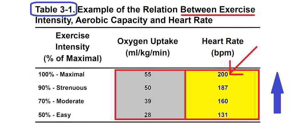 Cardiorespiratory endurance: Aerobic Test and Exercises