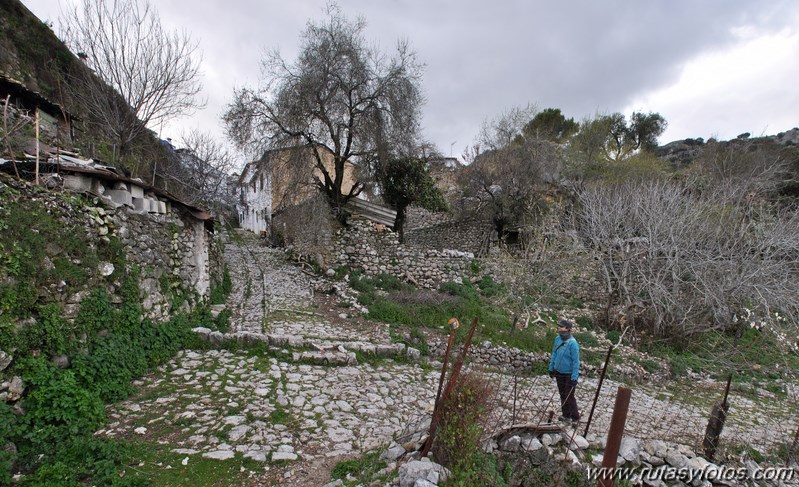 La Calzada Medieval de Grazalema