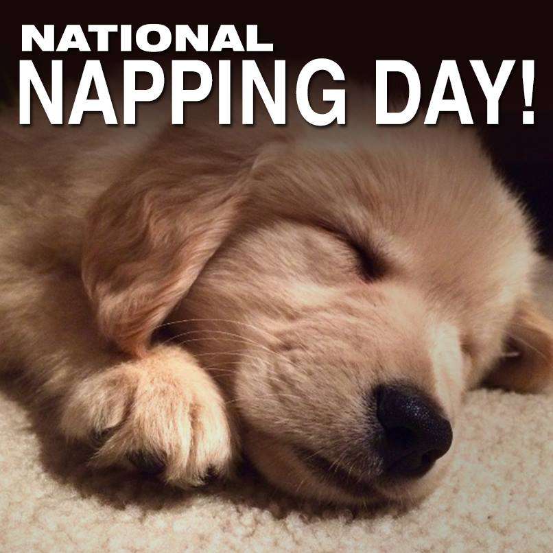National Napping Day Wishes Awesome Picture