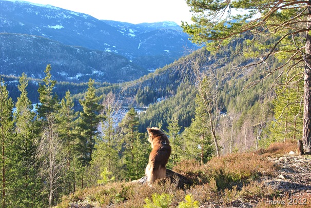 Tussi på tur 087