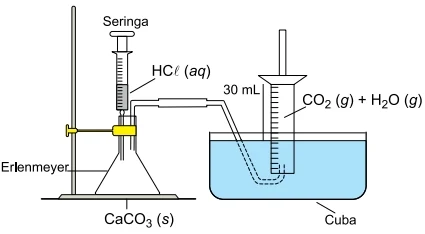 A montagem de laboratório ilustrada na figura destina-se à coleta e medida do volume de produto gasoso gerado numa reação química.