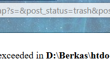 Cara Mengatasi Fatal error: Maximum execution time of 30 seconds exceeded