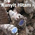 KUNYIT HITAM - APAKAH ITU