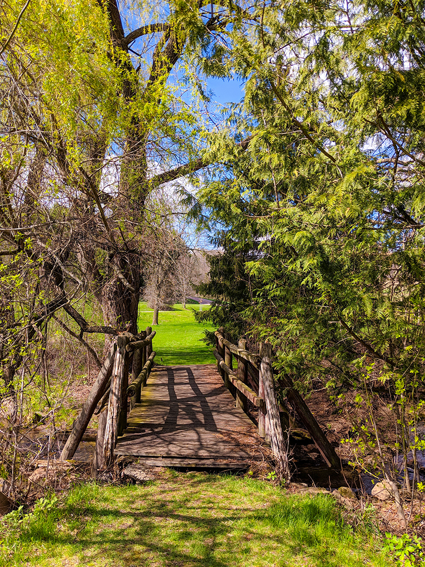 Lake Trail