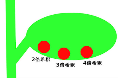 葉の目立たない場所に並べて塗布すると比較しやすい