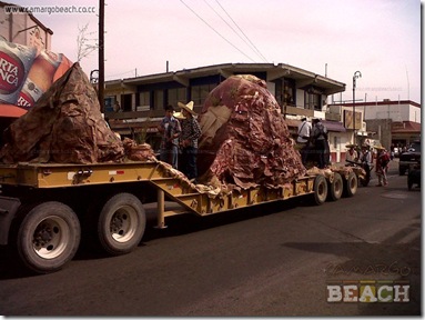 IMG01178-20121120-1154