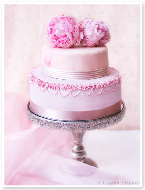 Peony Roses Romance and The Wedding Cake