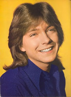 Celebrity Men's Hairstyles With Image David Cassidy Classic Hairstyle With Men's Shaggy Haircuts Picture 1