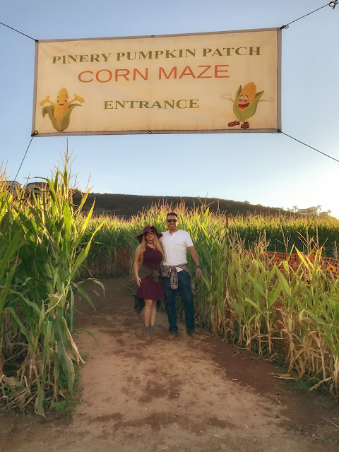 Fun Fall Corn Maze in San Diego