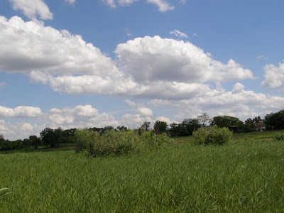 Запорожская область, село Н. Ивановка