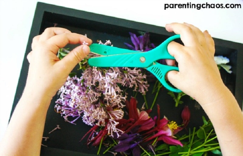 flower cutting tray