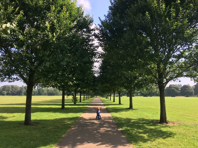 toddler-on-bike-on-long-path-running-through-avenue-of-trees