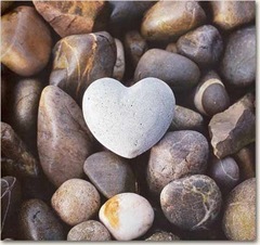 cuore1