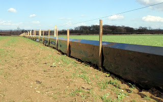 Newt Fencing roll installed