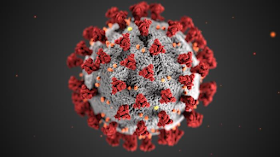 Depiction of virus that causes COVID-19, SARS-CoV-2