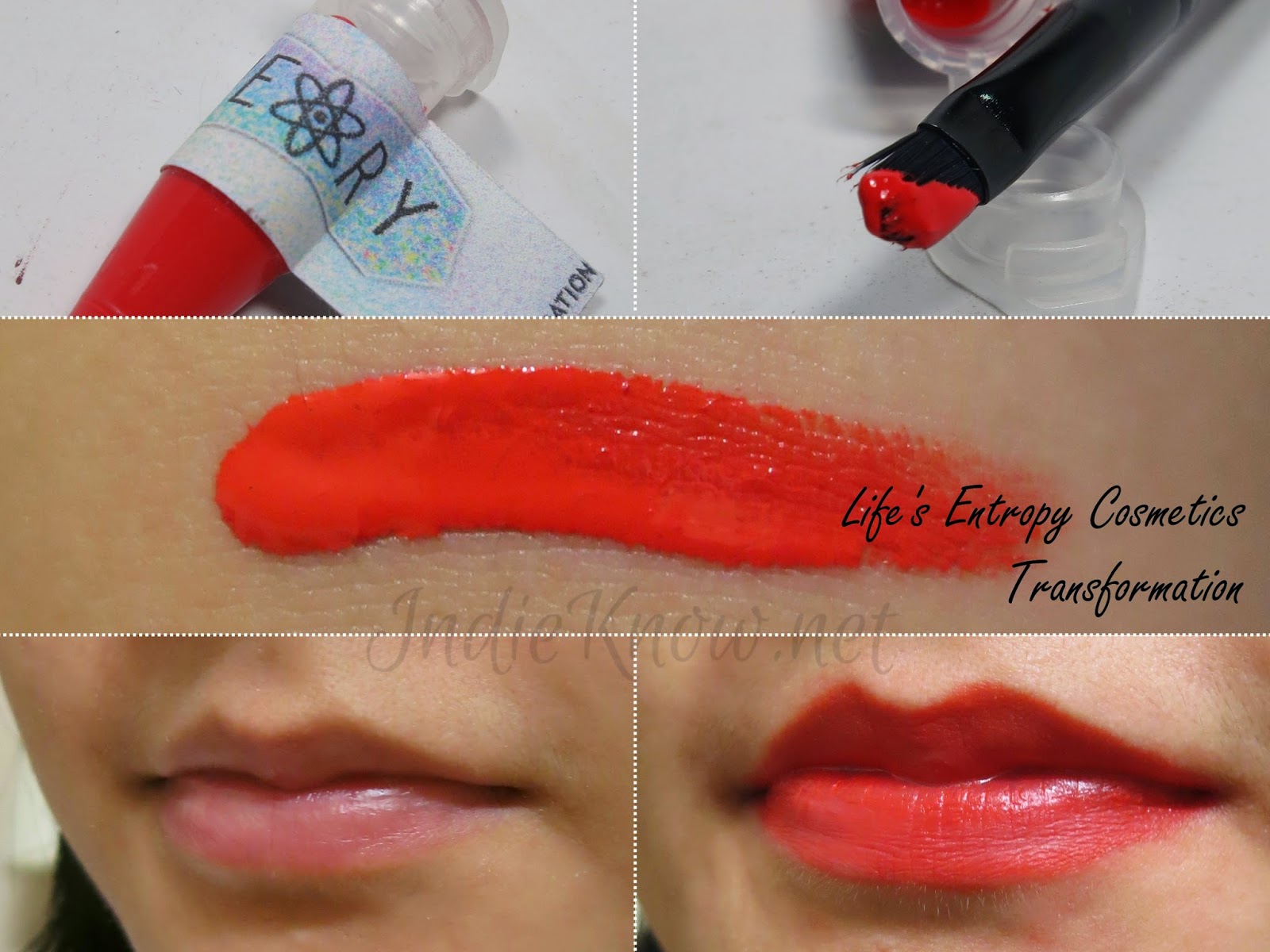 Life's Entropy Cosmetics Lip Theory Transformation