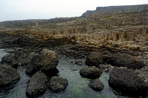 Giants Causeway (Irlandia)