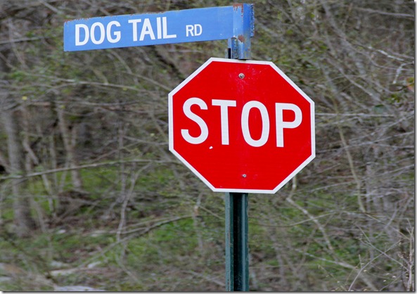 sign 31