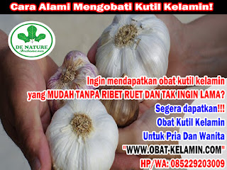 Obat Kutil Kelamin