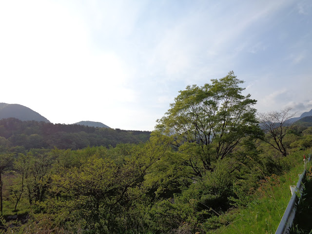 香取に行く途中の豊房あたりの景色