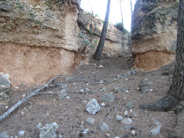 Trencacàntirs, torrent Mal a La Bisbal del Penedès