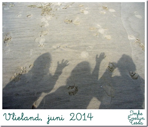 vlieland-2014