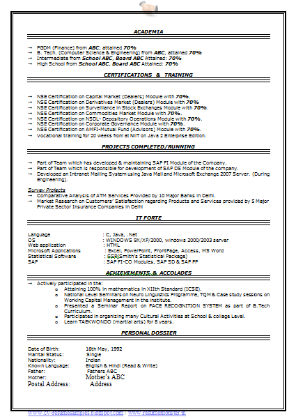 Free Download Link for Professional Resume Format
