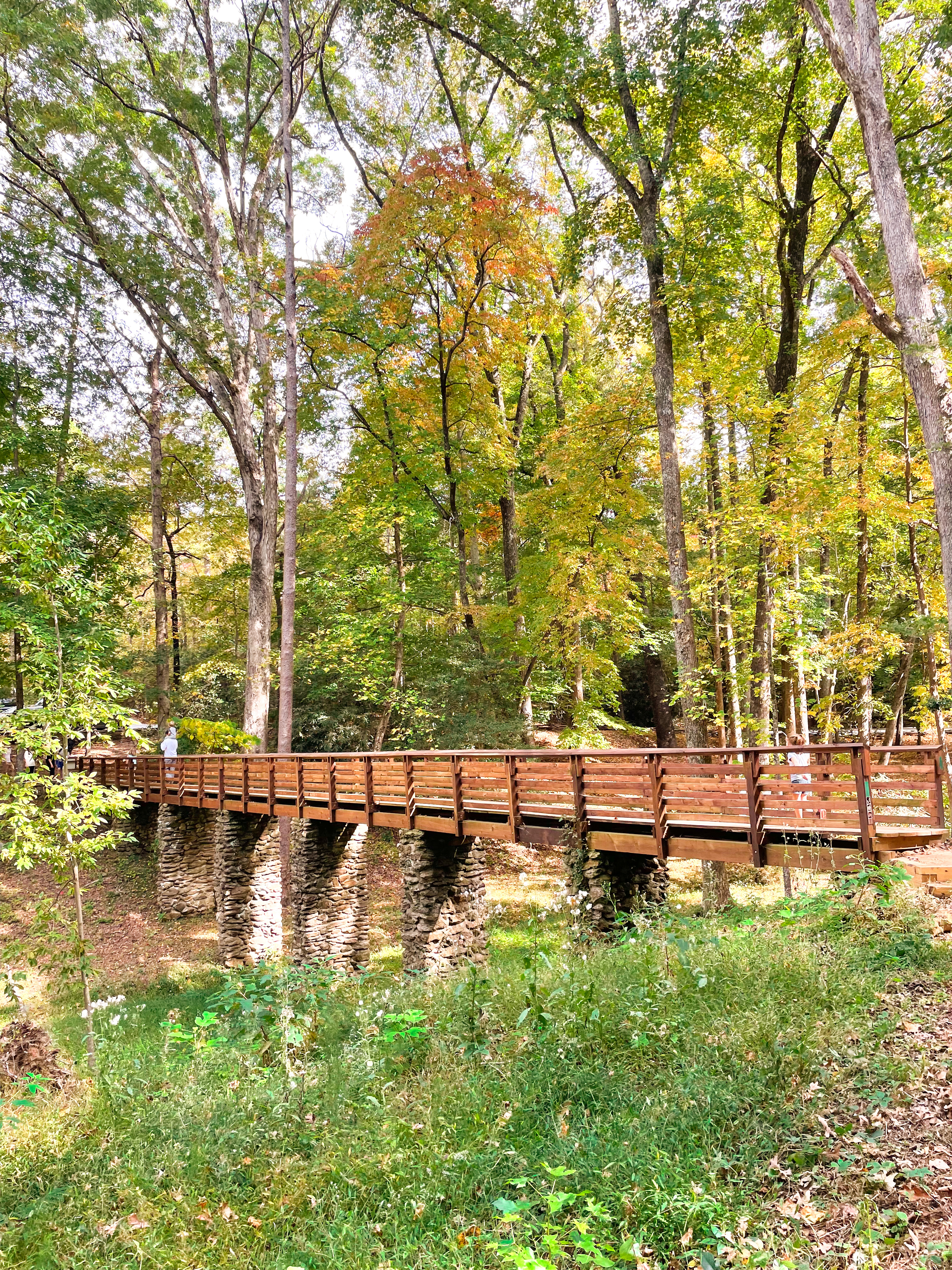 Lake Placid Trail