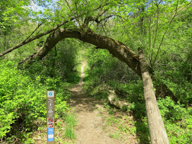 North Country Trail