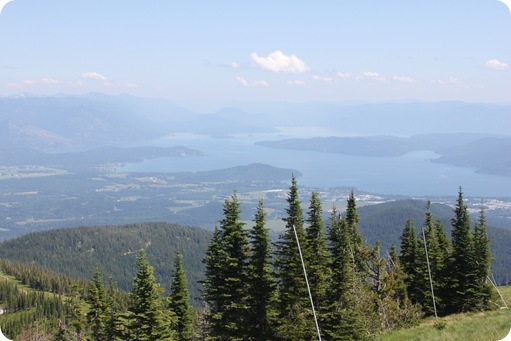 Schweitzer 041