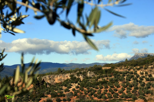 Sendero de La Era del Concejo (PR-A-76)