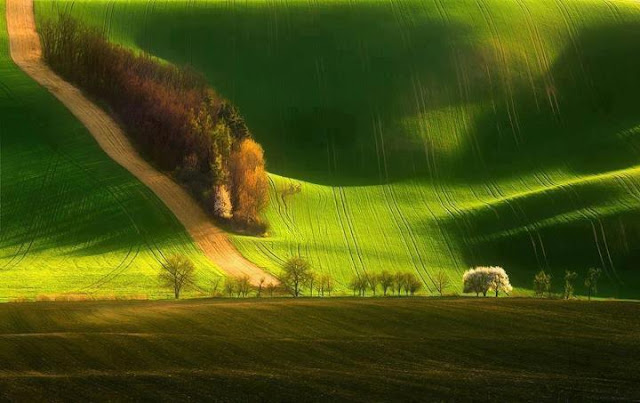 South Moravia, Czech Republic 