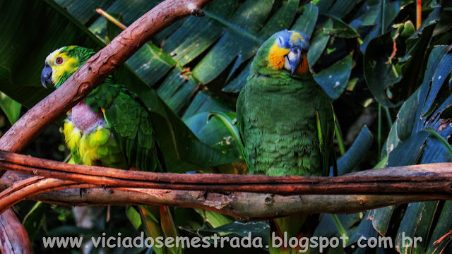 Foz do Iguaçu, PR