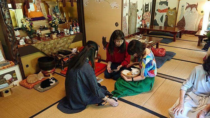 There Is A Japanese Cat Shrine, And Its Monks Are Adorable