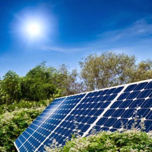 Companies Cut Costs By Going Green
