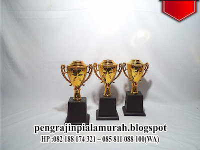 Jual Piala Murah Bintaro