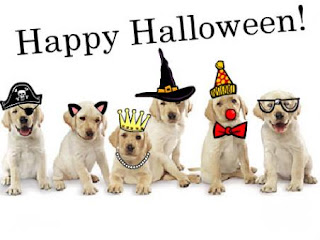 happy halloween by doggies