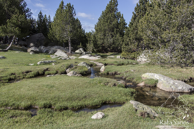 Ruta: Puigpedrós (2.914 m) (Els 100 Cims)