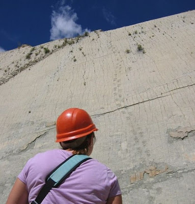 Cal Orko – The Dinosaur Wall of Bolivia Seen On www.coolpicturegallery.net