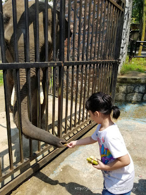 Zoo Johor