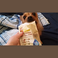 The Honest Kitchen Limited Ingredient dog food review