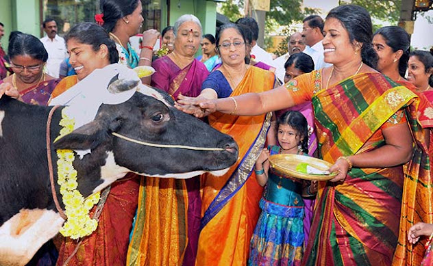 https://abhivirthi.blogspot.com/2024/01/happy-pongal-greetings-2024.html