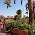 Vườn hoa Huyền Diệu DUBAI (Dubai Miracle Garden )