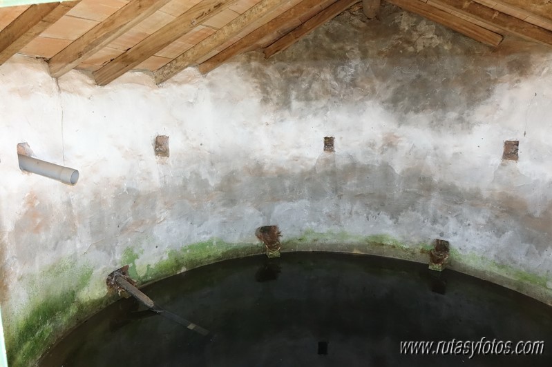 El Cintillo - Sierra Baja de Ubrique - Paso del Bombo - Ubrique - Cañada de los Pernales