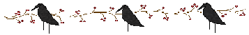 divider07_thumb[1]