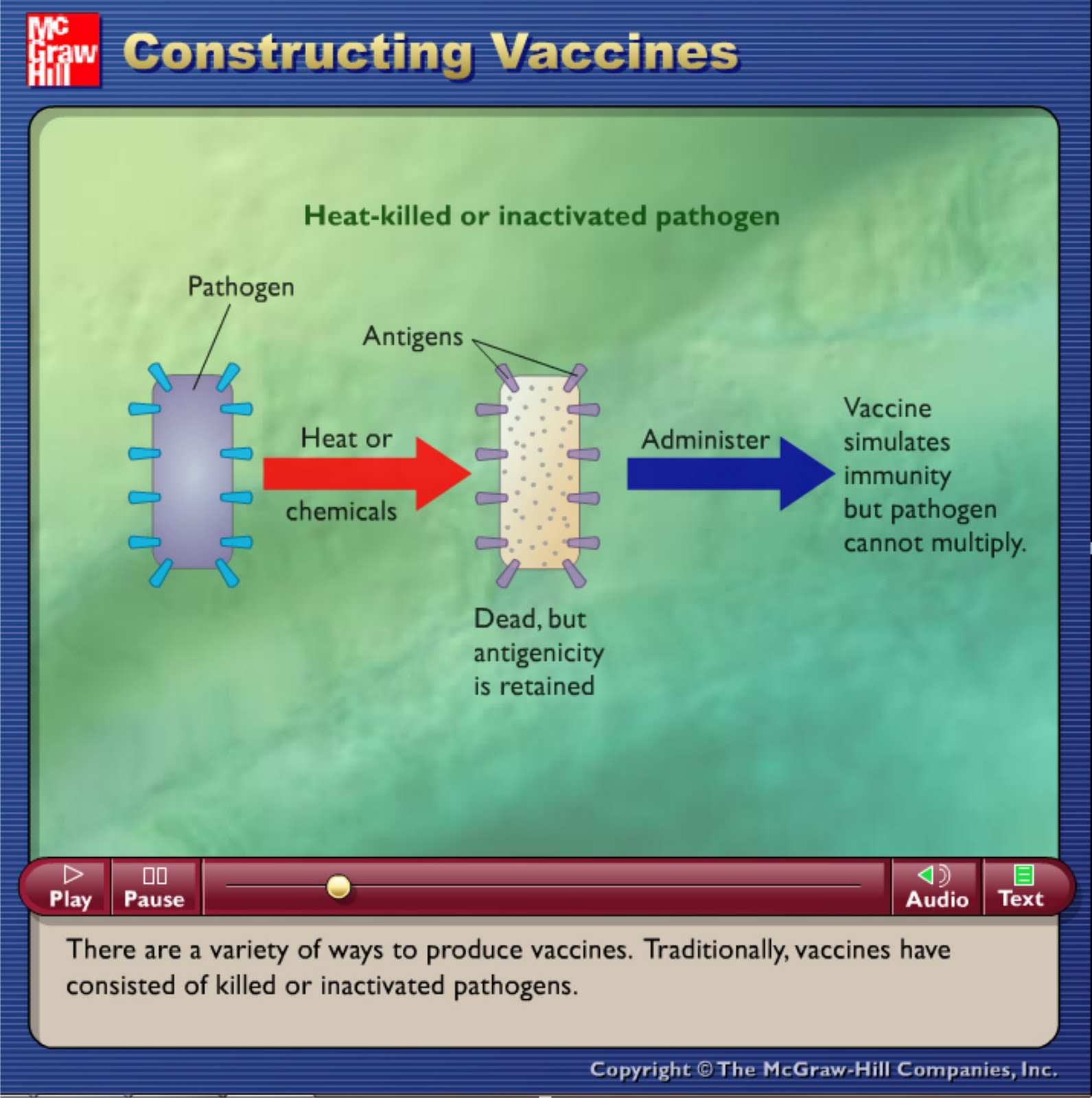 Animasi Pembuatan Vaksin  BIOLOGIPEDIA