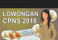 Penerimaan CPNS tahun 2018, karir 2018, lowongan kerja 2018, lowongan kerja terbaru