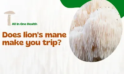Does lion's mane make you trip?
